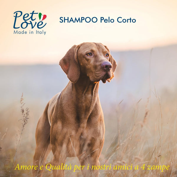 Shampoo Cani Manto Corto