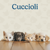 Cuccioli