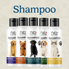 Shampoo
