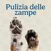 Pulizia delle zampe